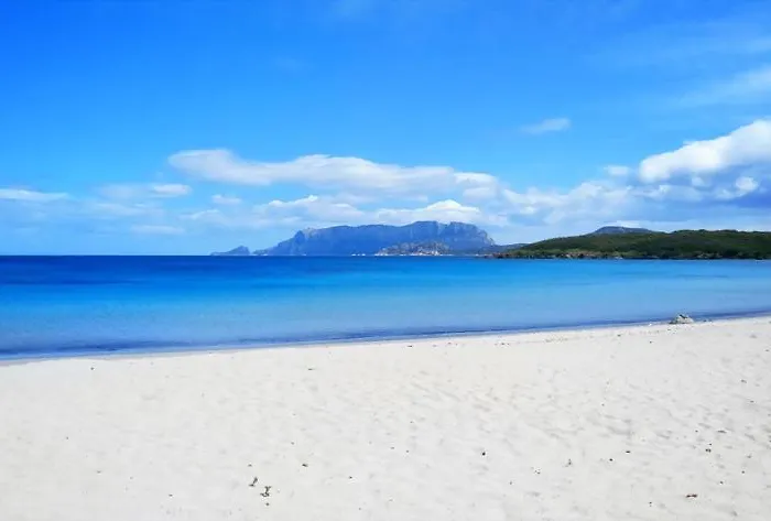 Casa vacanze Melograno Olbia